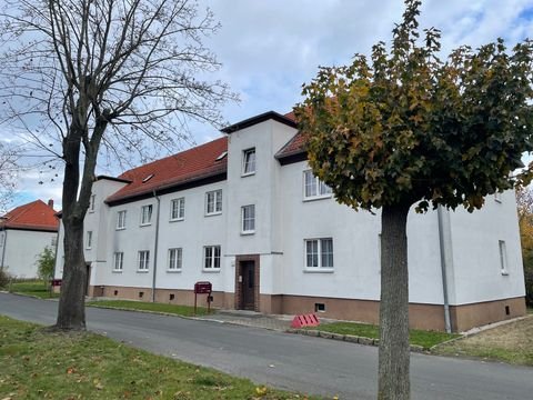 Neukieritzsch Wohnungen, Neukieritzsch Wohnung mieten