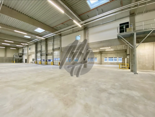 INFOS UNTER: 06171-586000