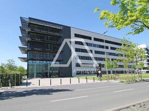 Düsseldorf Büros, Büroräume, Büroflächen 