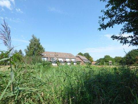 Bergen auf Rügen / Stedar Wohnungen, Bergen auf Rügen / Stedar Wohnung kaufen