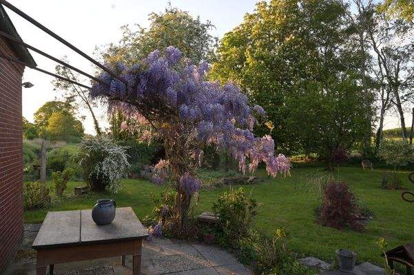 den Tag ausklingen lassen