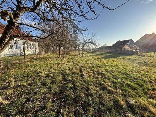 Blick Richtung Bauland