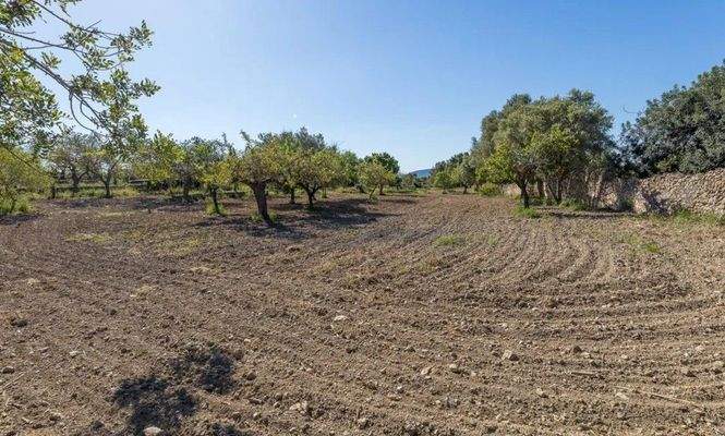 Finca zum Ausbau zwischen Santa Maria und Alaró zu verkaufen, Mallorca