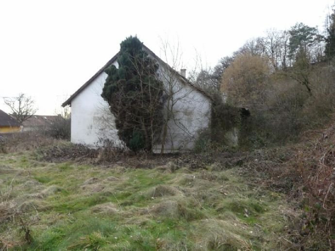 Neue Ideen gesucht - Grundstück mit zerfallenen Bauernhaus in Günzenhausen/Eching