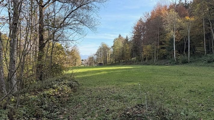 Blick nach Osten