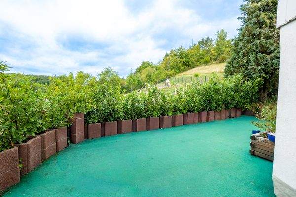 Terrasse aktuell - Steinplatten unterhalb des grünen Teppichs