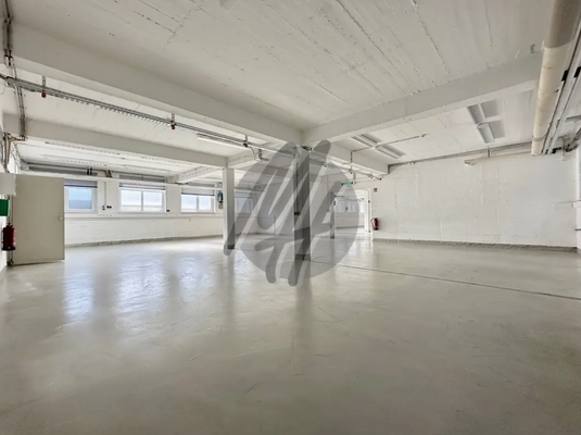 INFOS UNTER: 06171-586000