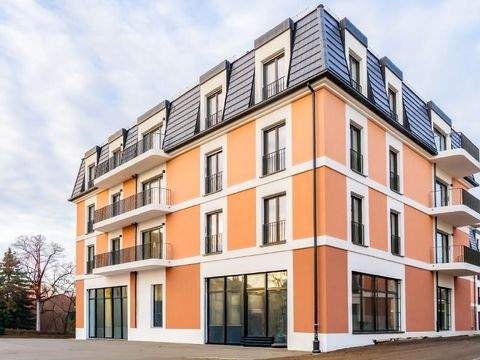 Dresden Ladenlokale, Ladenflächen 