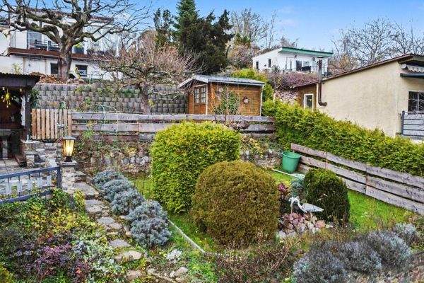 Ansicht Garten mit Teich