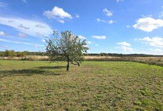 Grundstück Elisenau