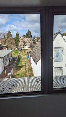 PXL_20240316_111854340