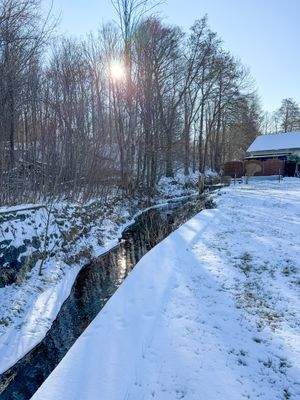 angrenzender Bachlauf