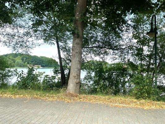 Reinfelder Herrenteich 