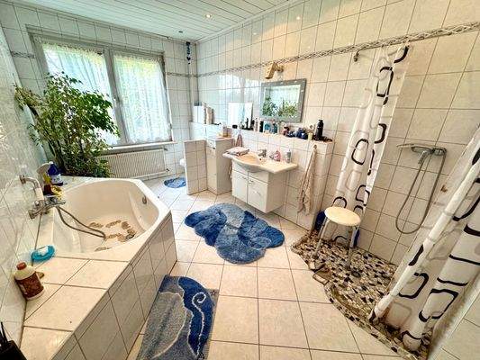 T45 Badezimmer EG.jpeg