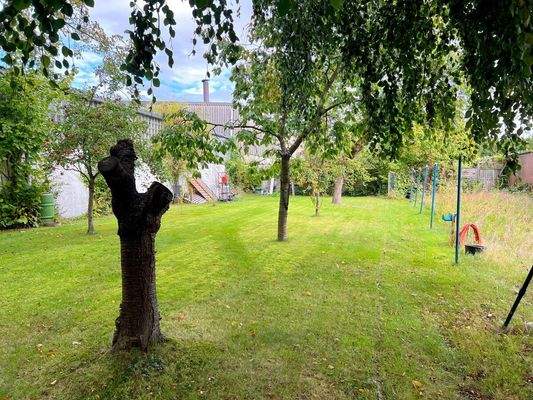 Viel Platz im Garten