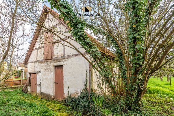 Backhaus