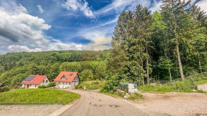 grundstueck-schwarzwald-sasbachwalden-wolf-immobil