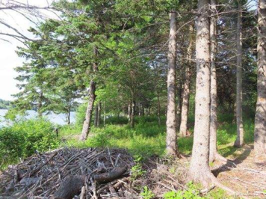 Cape Breton - Wunderschönes Fluss-Ufergrundstück a