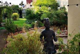Blick in den Garten