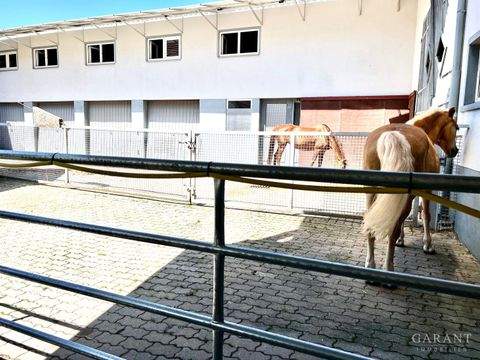 Adelmannsfelden Häuser, Adelmannsfelden Haus kaufen