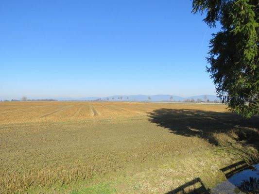 Blick von der hinteren Grundstücksgrenze