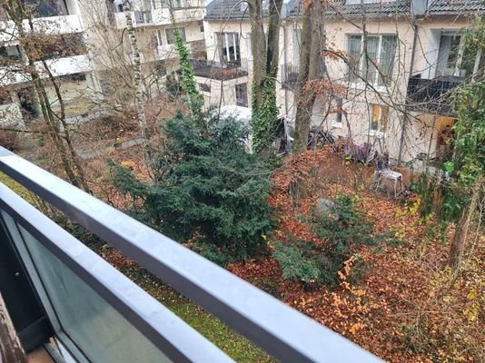 Blick ins Grüne