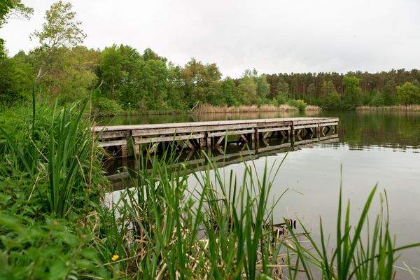 69_Umgebung Bischofsweiherstr Dechsendorf_Foto Ann