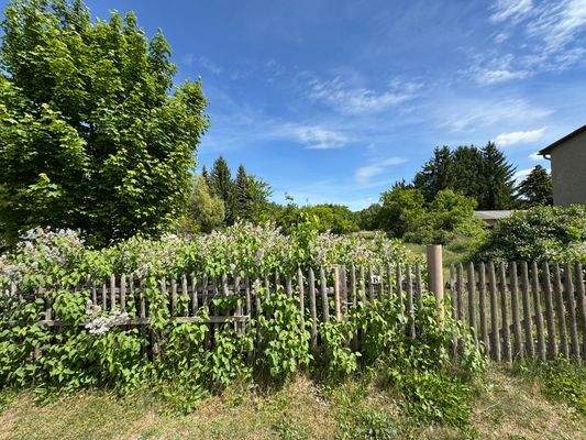 Blick von der Straße 