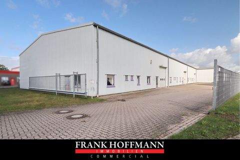 Kaltenkirchen Halle, Kaltenkirchen Hallenfläche