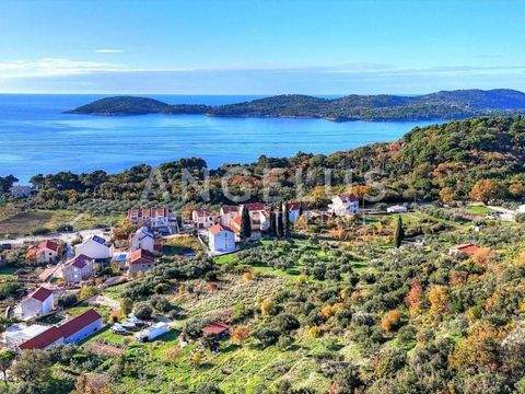 Dubrovnik Bauernhöfe, Landwirtschaft, Dubrovnik Forstwirtschaft