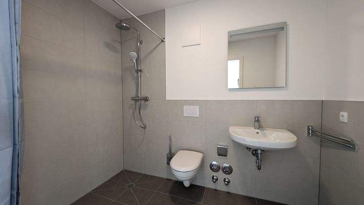 PXL_20240412_150305019.MP