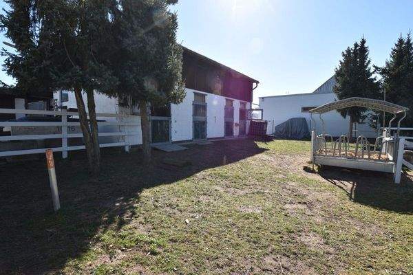 4 Stallungen + Winterpaddock