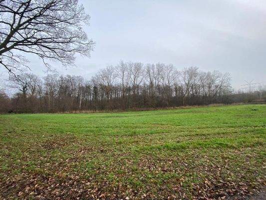 klein und kompakt! Ideal für den privaten (Erst-)Waldbesitzer!.jpg