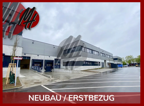 Butzbach Halle, Butzbach Hallenfläche