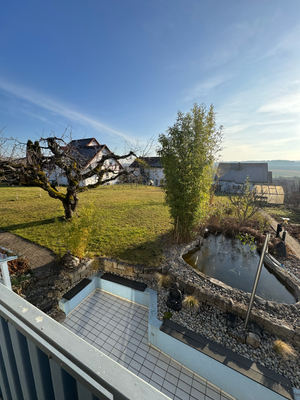 Aussicht in den Garten