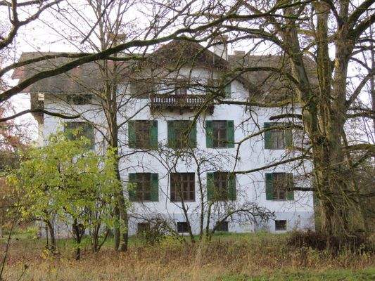 Ostseite hinter altem Baumbestand 