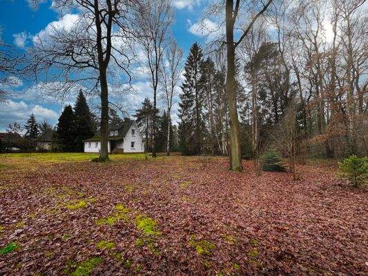 Herrlich weitläufige Liegenschaft