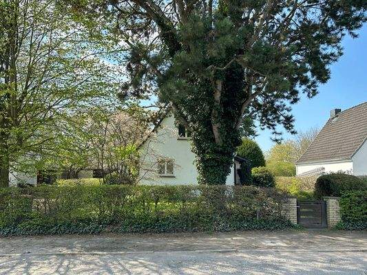 Altbestand Straßenseite