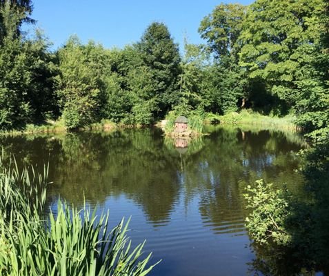 Gartenteich