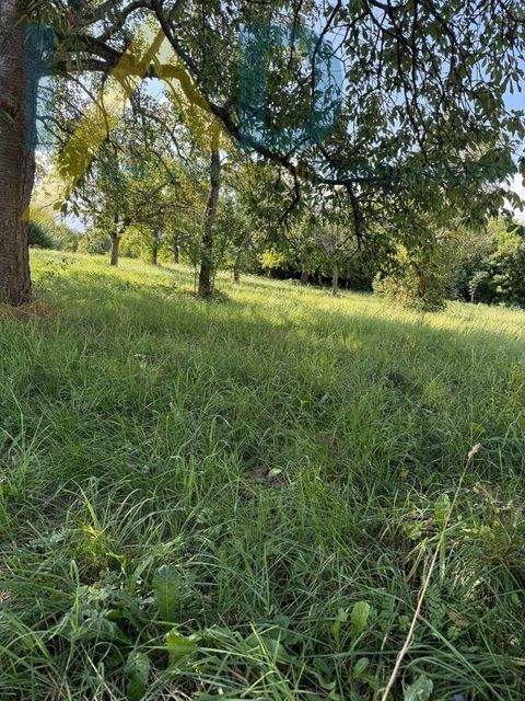 Keltern Grundstücke, Keltern Grundstück kaufen