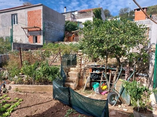 Eine mediterrane Bepflanzung ziert den Garten