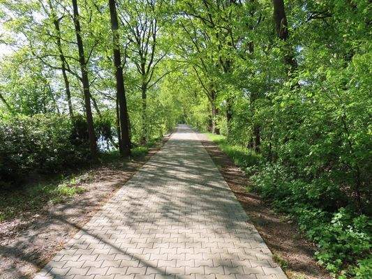Zuwegung zum See