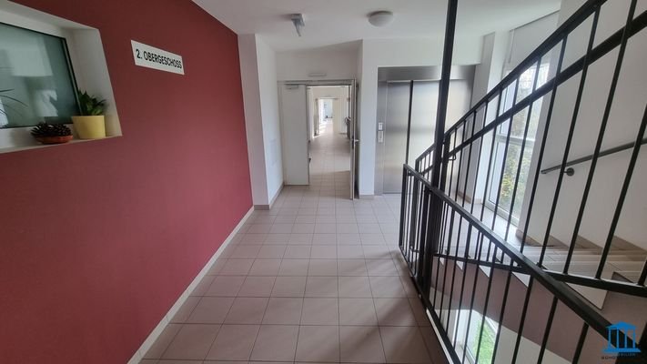 Bild 15