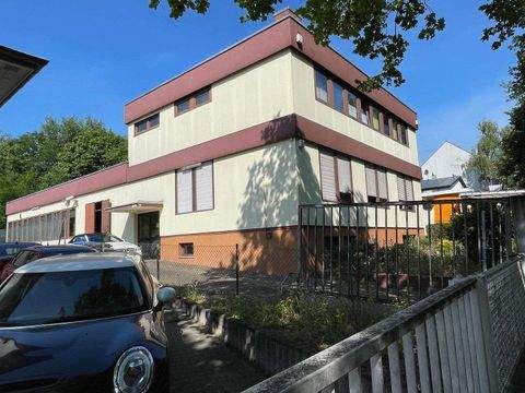 Berlin Halle, Berlin Hallenfläche