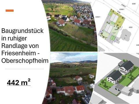 Friesenheim Grundstücke, Friesenheim Grundstück kaufen