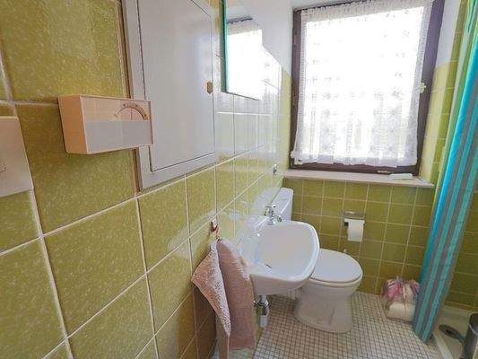 Separartes WC mit Dusche im EG