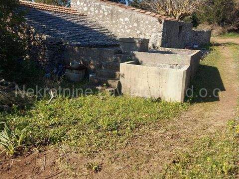 Vis Bauernhöfe, Landwirtschaft, Vis Forstwirtschaft