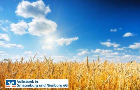 Pennigsehl Bauernhöfe, Landwirtschaft, Pennigsehl Forstwirtschaft