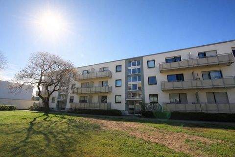 Mannheim / Waldhof Wohnungen, Mannheim / Waldhof Wohnung mieten