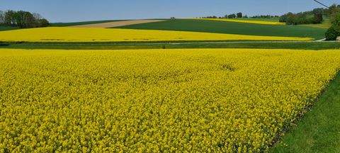 Freising Bauernhöfe, Landwirtschaft, Freising Forstwirtschaft